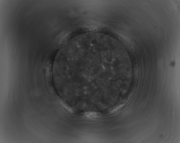 X0000089760181200707121411