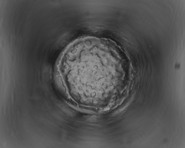 X0000089760182200707121411