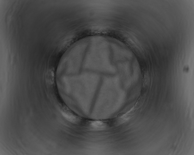 X0000089760183200707121411