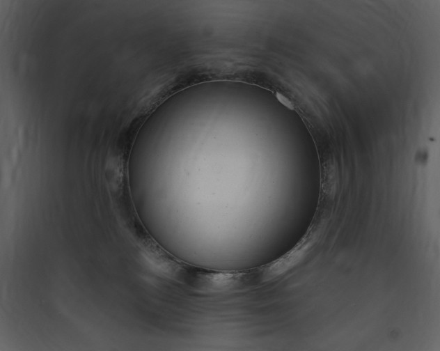 X0000089760184200707121411