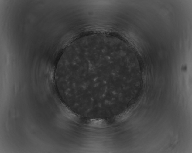 X0000089760185200707121411