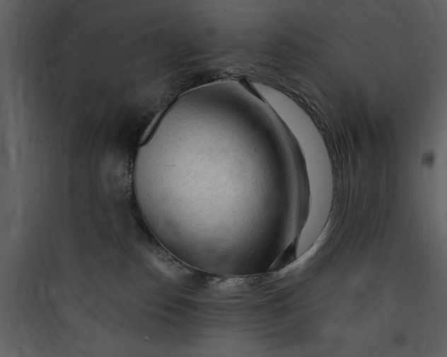 X0000089760186200707121411