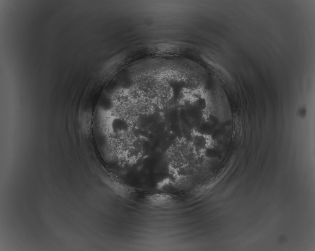 X0000089760189200707121411
