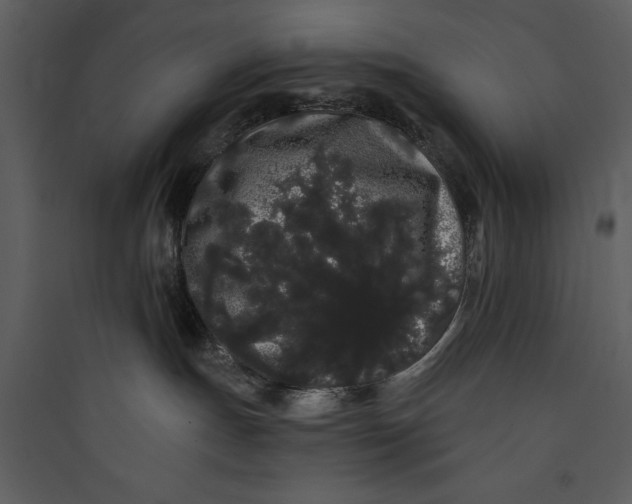 X0000089760191200707121411