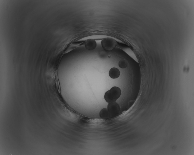 X0000089760192200707121411