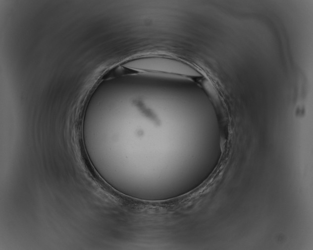 X0000089760193200707121411