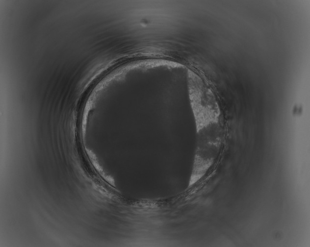 X0000089760194200707121411
