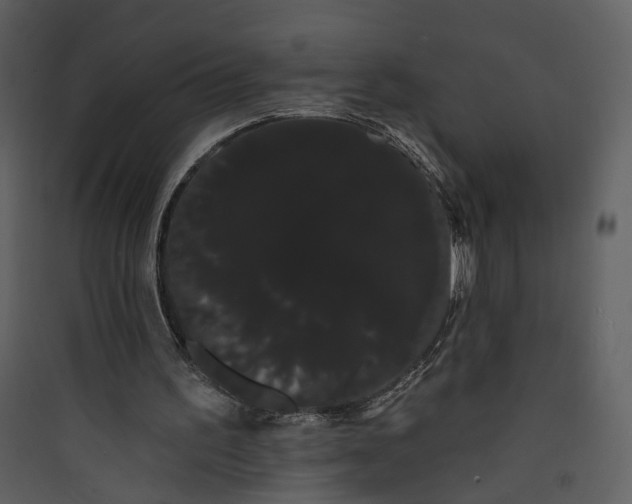 X0000089760195200707121410