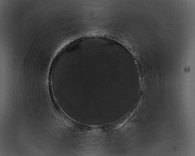 X0000089760196200707121410