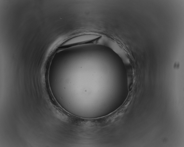 X0000089760197200707121410