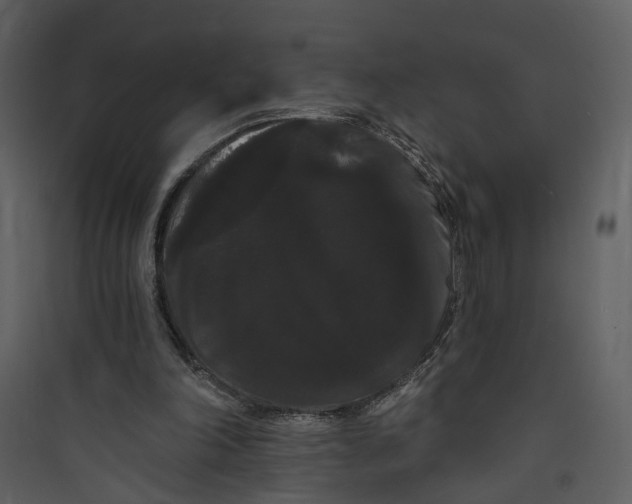X0000089760198200707121410
