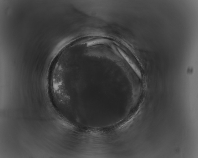 X0000089760199200707121410