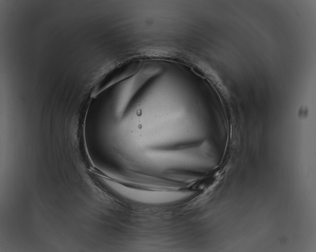 X0000089760201200707121410