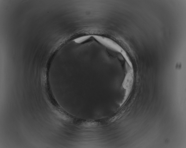 X0000089760202200707121410