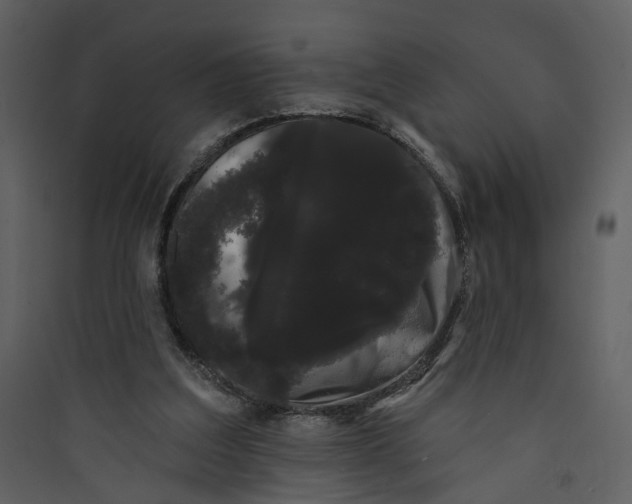 X0000089760203200707121410