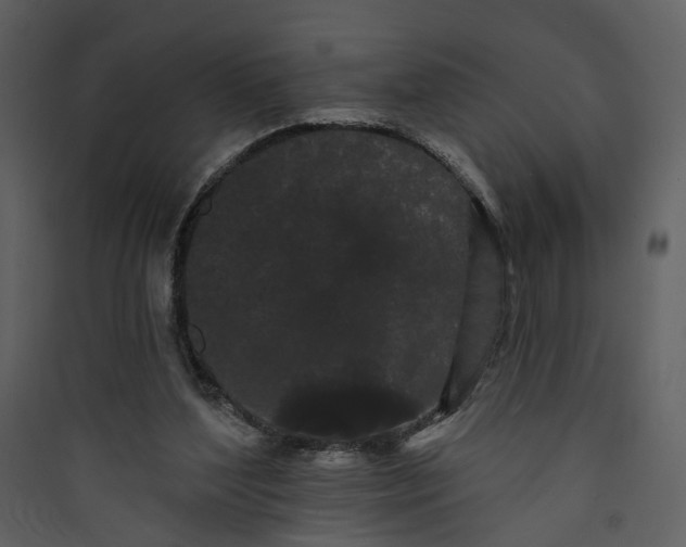 X0000089760204200707121410