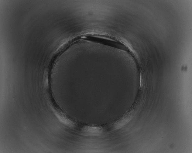 X0000089760205200707121410