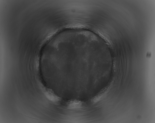 X0000089760206200707121410