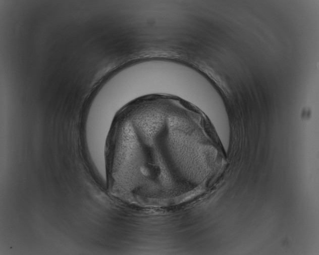 X0000089760207200707121410