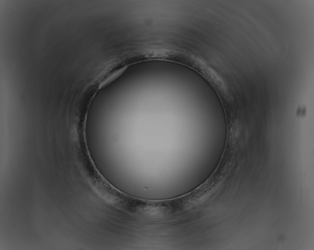 X0000089760209200707121410
