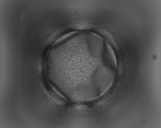 X0000089760210200707121410