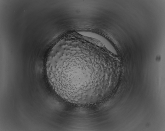 X0000089760211200707121410