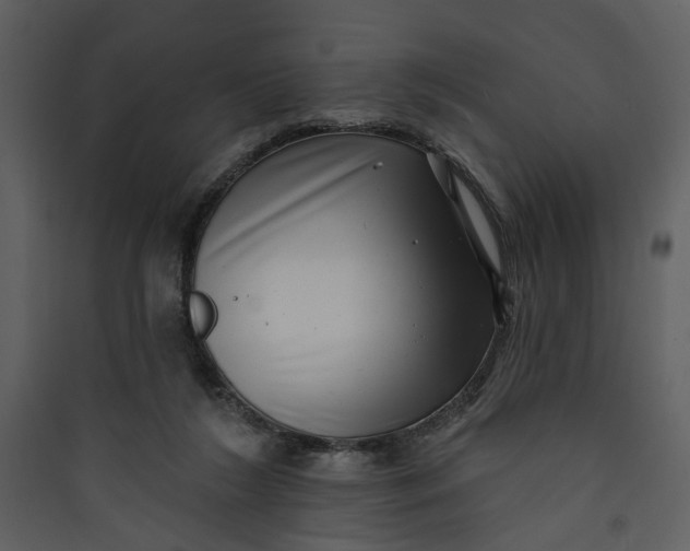 X0000089760212200707121410