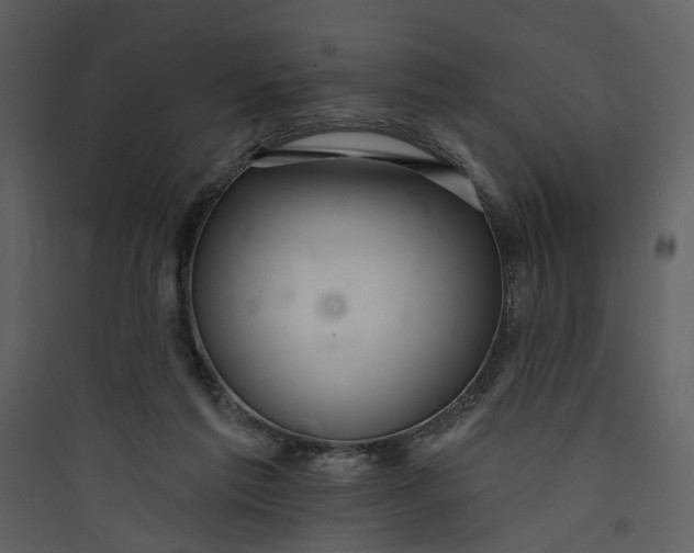 X0000089760213200707121410