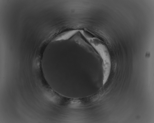 X0000089760214200707121410