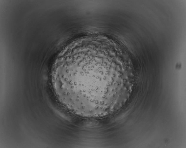 X0000089760215200707121410