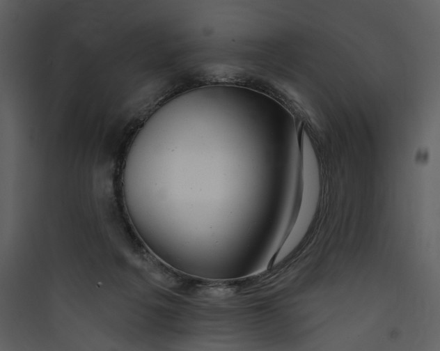 X0000089760217200707121410