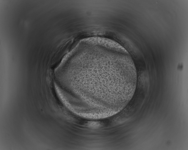 X0000089760218200707121410