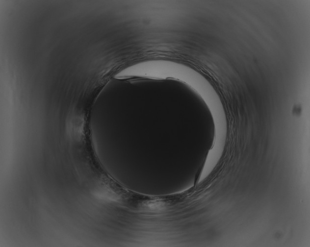 X0000089760219200707121410