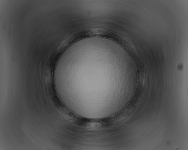 X0000089760220200707121410