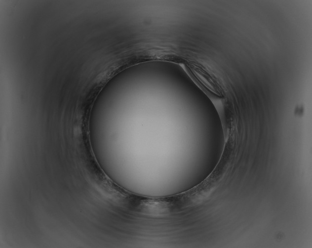 X0000089760221200707121410