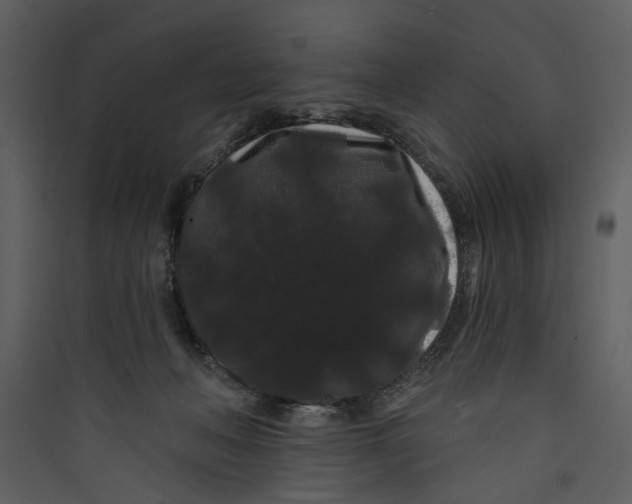 X0000089760222200707121410