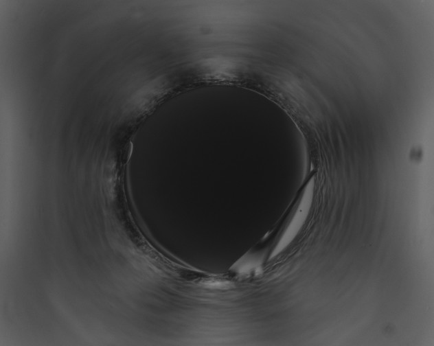 X0000089760223200707121410