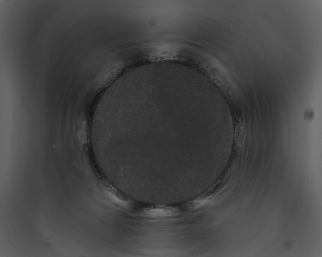 X0000089760224200707121410