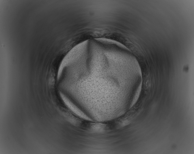 X0000089760226200707121410