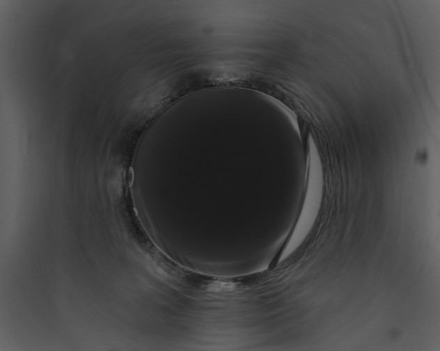 X0000089760227200707121410