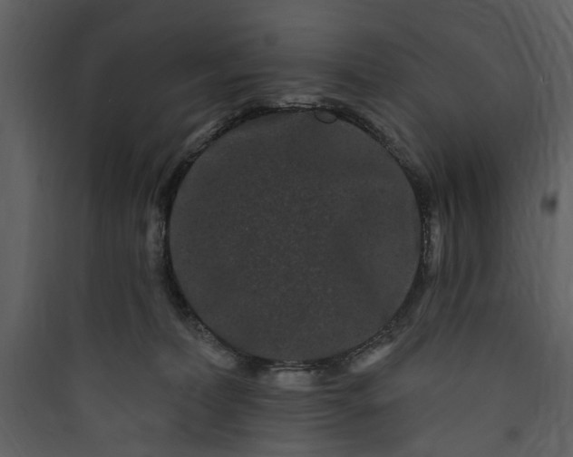 X0000089760228200707121410