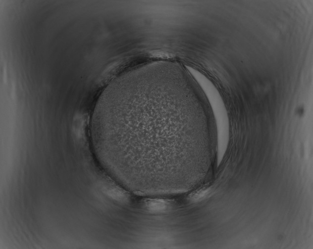 X0000089760229200707121410