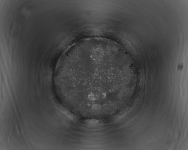 X0000089760230200707121410