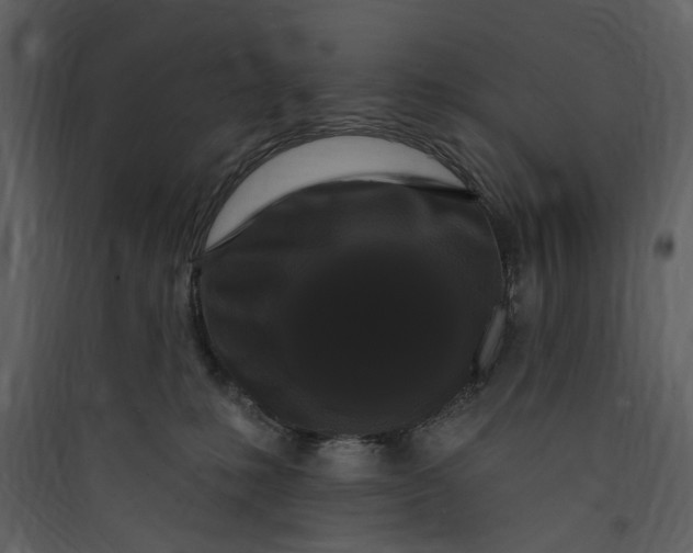 X0000089760231200707121410