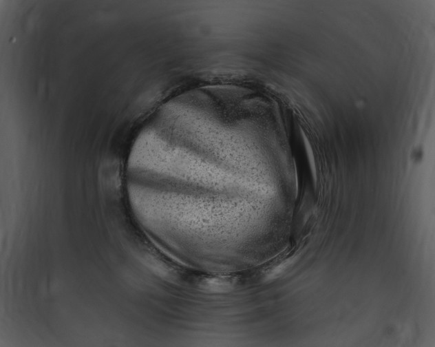 X0000089760232200707121410