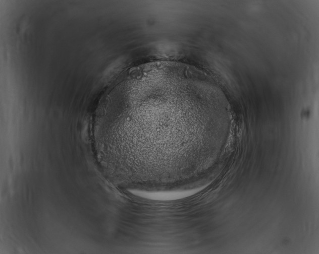 X0000089760233200707121410