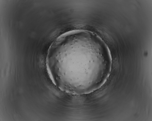 X0000089760234200707121410