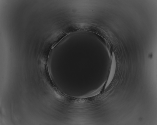 X0000089760235200707121410