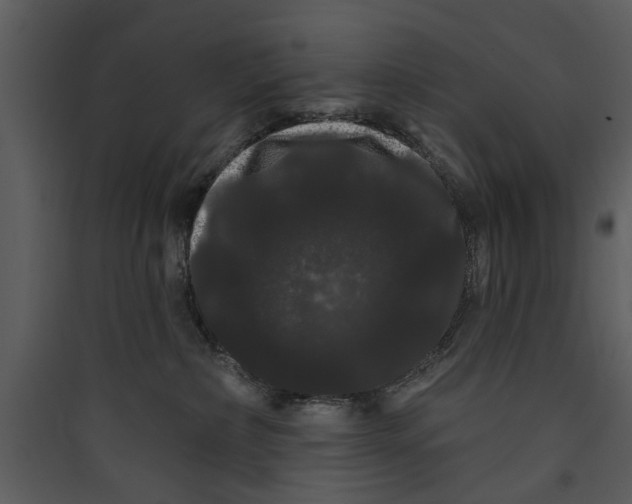 X0000089760236200707121410