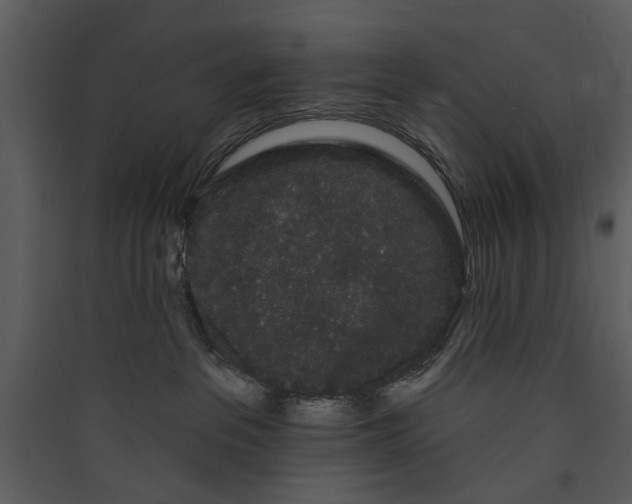 X0000089760237200707121410